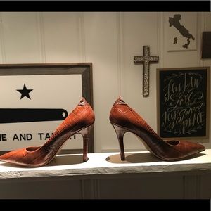 Sam Edelman Brown crocodile pumps